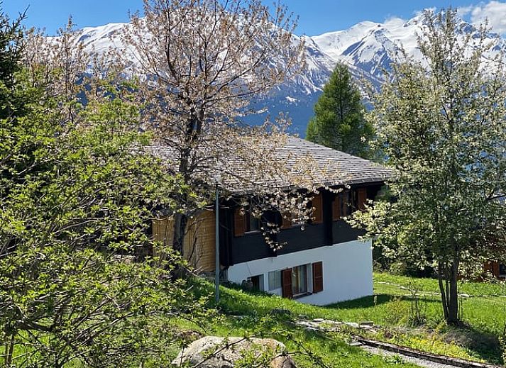 Guest house 1844707 • Chalet Wallis / Valais • Vakantiehuisje in Bellwald 