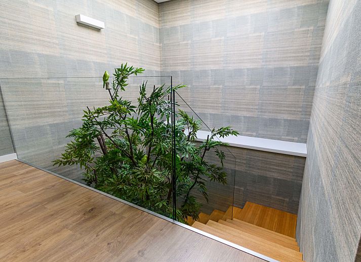 Verblijf 18528901 - Vakantiewoning Noord Portugal - Vakantiehuis Douro Escape