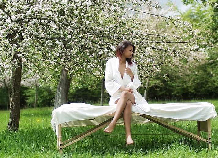 Guest house 19030303 - Holiday property Lower Normandy - Vakantiehuisje in Saint Aubin de Bonneval