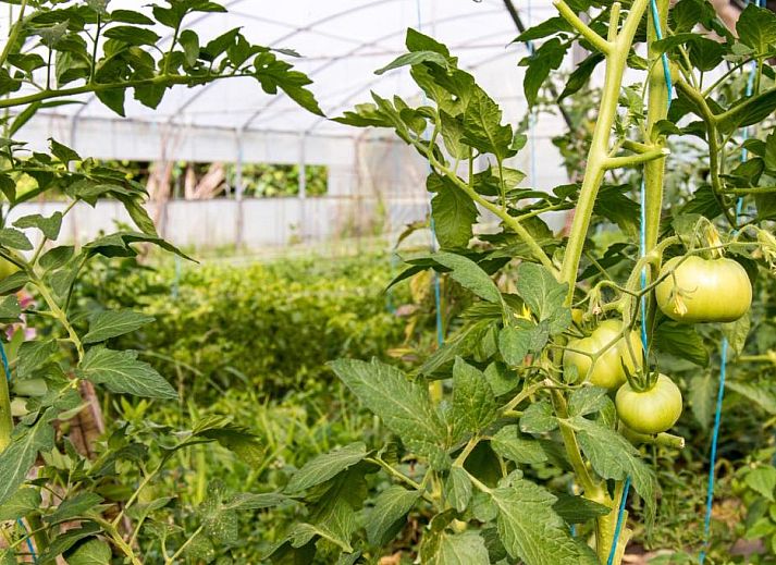 Verblijf 19321104 - Appartement Het groene Spanje - Casa Codesal