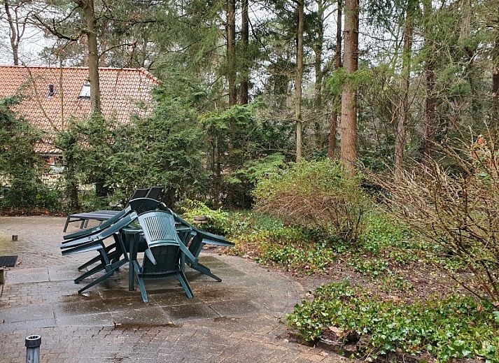 Gezellige woonkamer van vakantiehuis Mepke in Diever, Drenthe met uitzicht op de natuurlijke omgeving.
