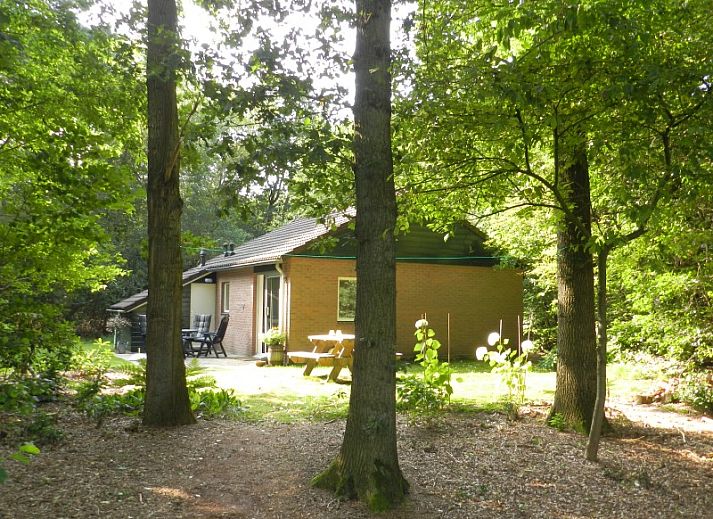 Verblijf 200706 • Vakantiewoning Zuidwest Drenthe • huisje in ruinen