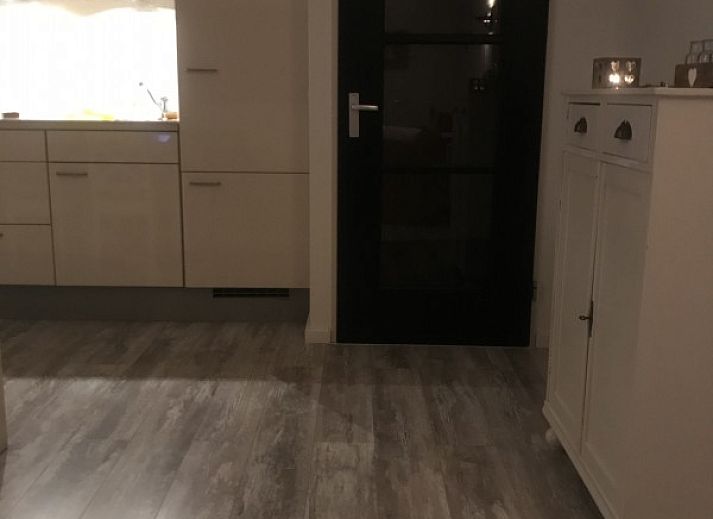 Uitzicht op weiland met paarden bij huisje in Ruinen, vakantiehuis in Drenthe.