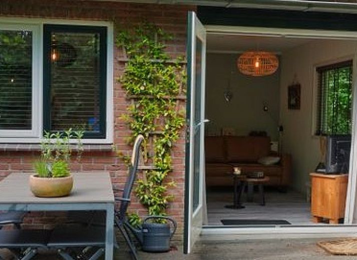 Uitzicht op weiland met paarden bij huisje in Ruinen, vakantiehuis in Drenthe.