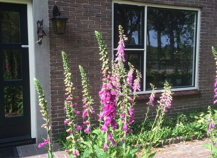 Guest house 201208 - Holiday property Zuidwest Drenthe - Landhuisje Leda
