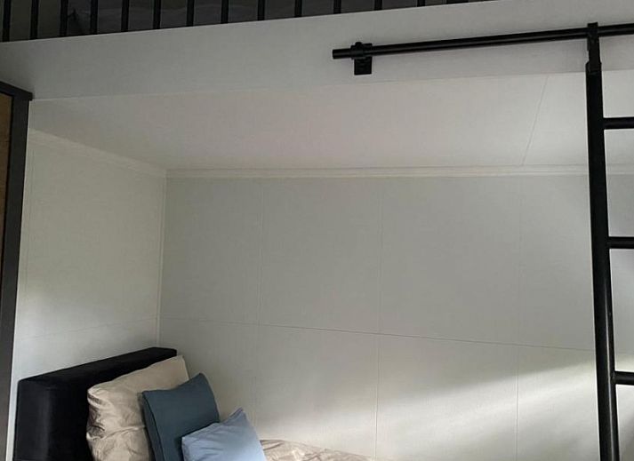 Rustic back of Cottage 54 in Wateren, Drenthe, with wooden fence and shaded area.