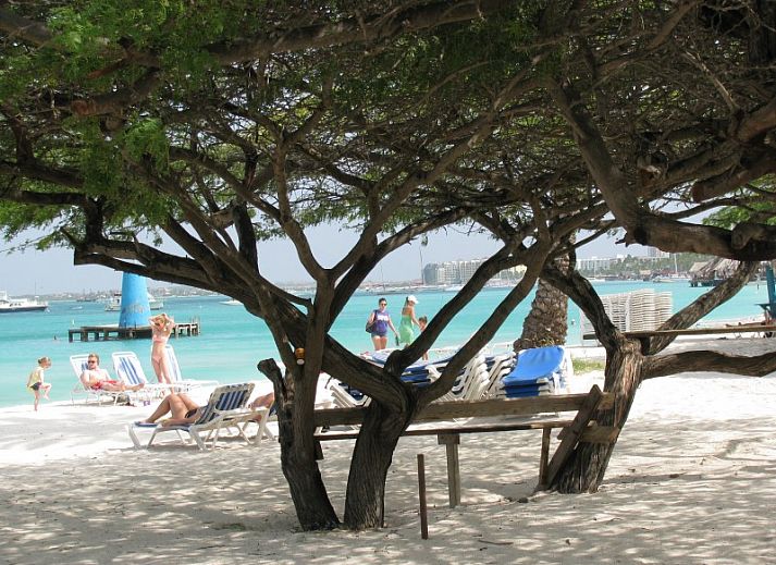 Villa San Miguel in Noord, Aruba met zonnig terras en zwembad, perfect vakantiehuis voor ontspanning op de Nederlandse Antillen.