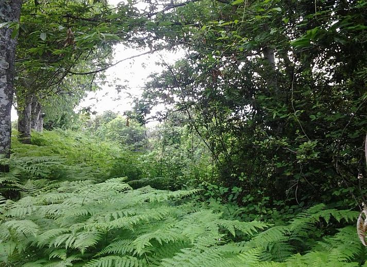 Verblijf 22204301 - Bed and breakfast Corsica - Chambre d'Hôtes La Marlotte