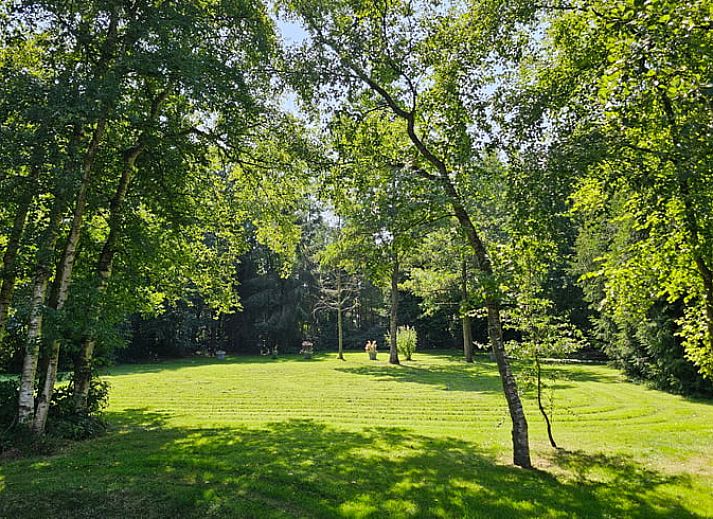 Guest house 264202 - Holiday property Het Friese platteland - Huisje in Jistrum