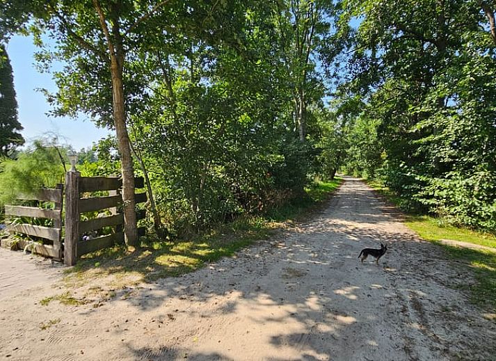 Guest house 264202 - Holiday property Het Friese platteland - Huisje in Jistrum