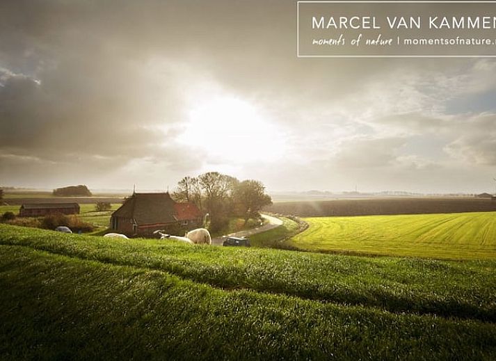 Guest house 264603 - Holiday property Het Friese platteland - Huisje in Twijzelerheide