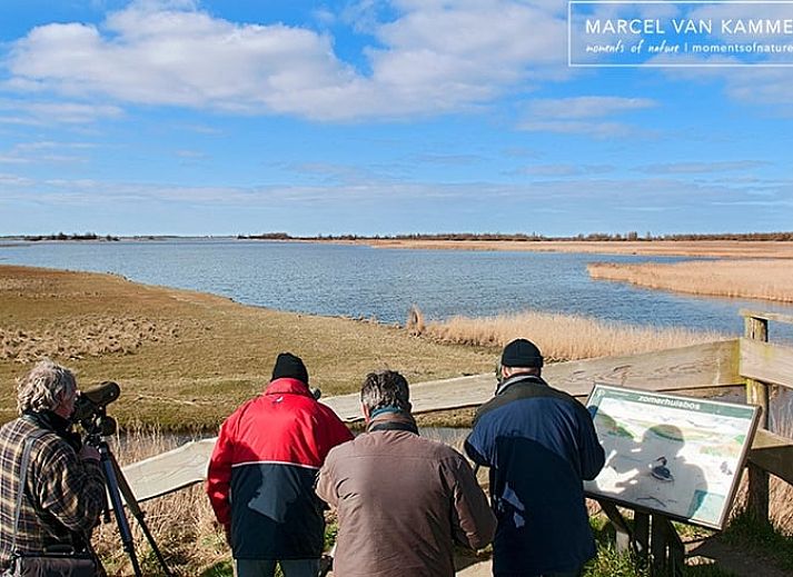 Guest house 264603 - Holiday property Het Friese platteland - Huisje in Twijzelerheide