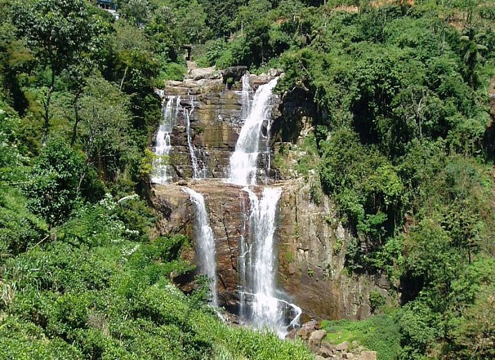 Ontspan bij Briddens Cabanas in Katuneriya, Sri Lanka, met een prachtig zwembad en weelderige natuur rondom de vakantiehuizen.