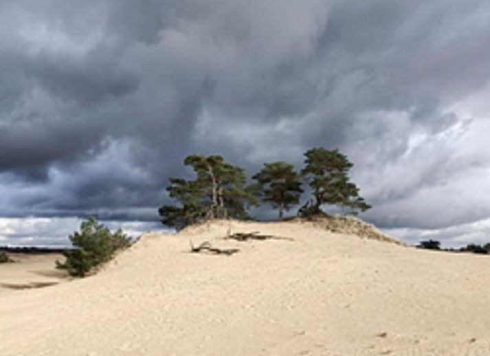 Verblijf 325604 - Vakantiewoning Veluwe - Vakantiehuisje in Hoog Soeren