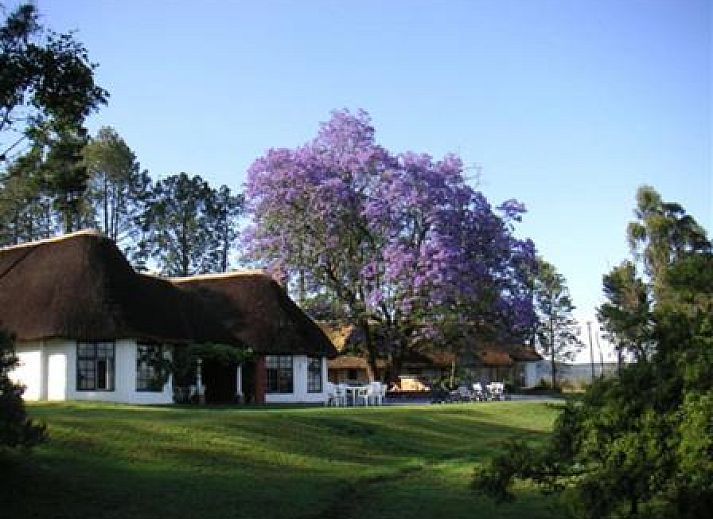 Verblijf 3526601 - Vakantiewoning Kwazoeloe-Natal - Antbear Eco Lodge Drakensberg