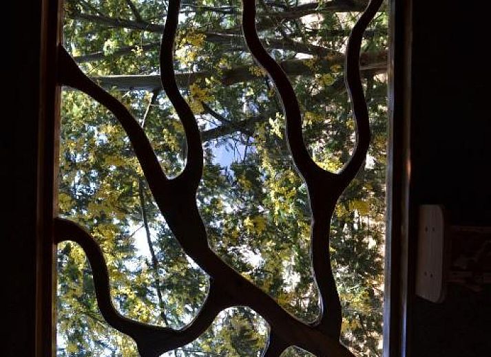 Verblijf 3526601 - Vakantiewoning Kwazoeloe-Natal - Antbear Eco Lodge Drakensberg