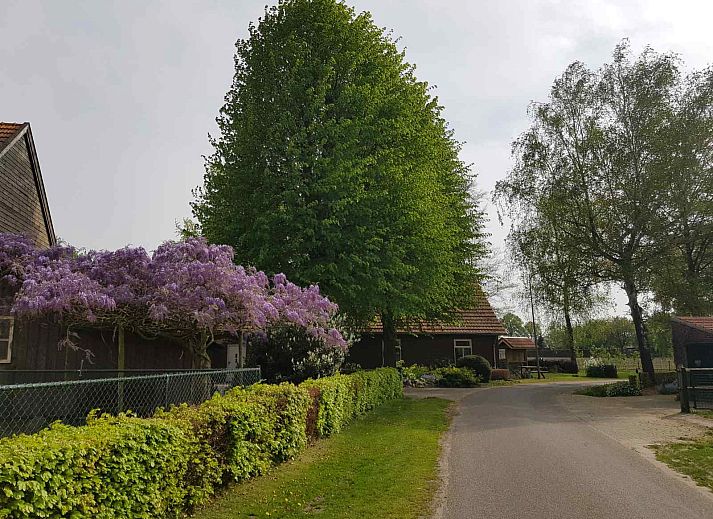 Verblijf 371303 - Vakantiewoning Midden Limburg - L241