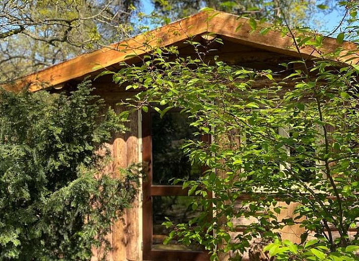 Verblijf 371503 - Vakantiewoning Midden Limburg - Vakantiehuis in Koningsbosch