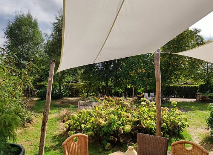 Verblijf 372614 - Vakantiewoning Midden Limburg - Vakantiehuisje in Stramproy