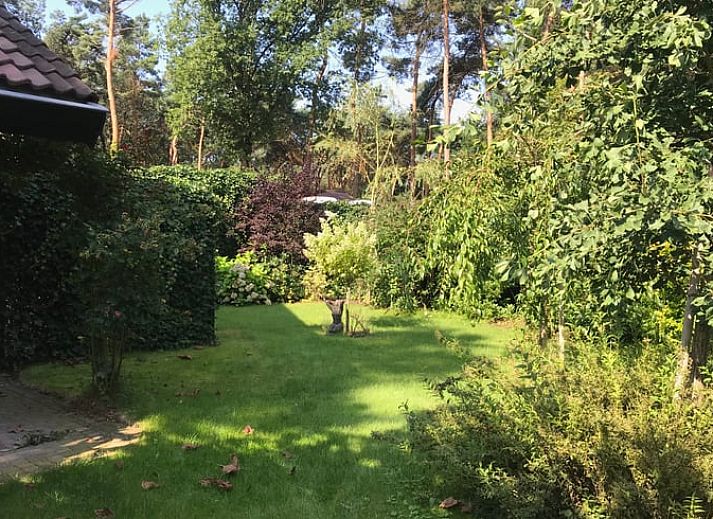 Verblijf 374105 - Vakantiewoning Midden Limburg - Vakantiehuisje in Meijel