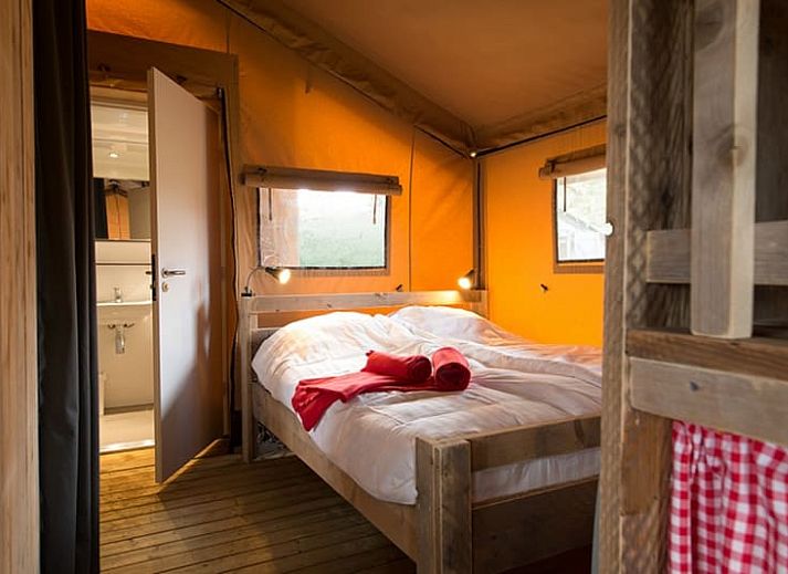 Verblijf 381605 - Tenthuis Noord Limburg - Lodgetent