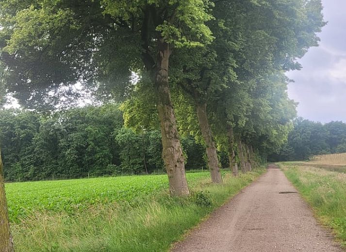 Verblijf 382202 - Vakantiewoning Noord Limburg - Huisje in Broekhuizenvorst