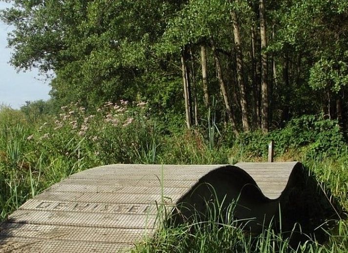 Verblijf 382202 - Vakantiewoning Noord Limburg - Huisje in Broekhuizenvorst