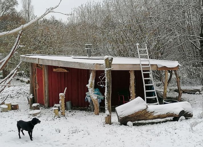 Verblijf 383210 - Vakantiewoning Noord Limburg - Vakantiehuisje in Afferden