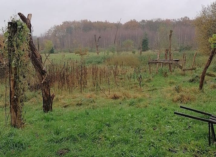 Verblijf 383210 - Vakantiewoning Noord Limburg - Vakantiehuisje in Afferden