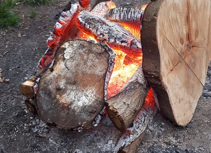 Verblijf 383210 - Vakantiewoning Noord Limburg - Vakantiehuisje in Afferden