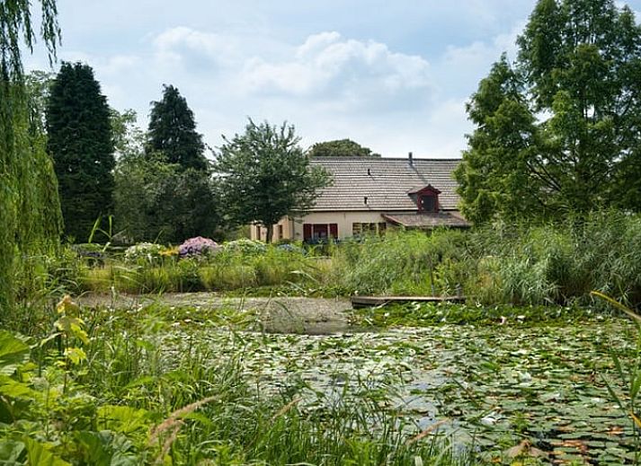 Verblijf 384210 - Vakantiewoning Noord Limburg - Huisje in Siebengewald