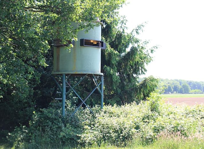 Verblijf 384212 - Vakantiewoning Noord Limburg - Vakantiehuis in Siebengewald