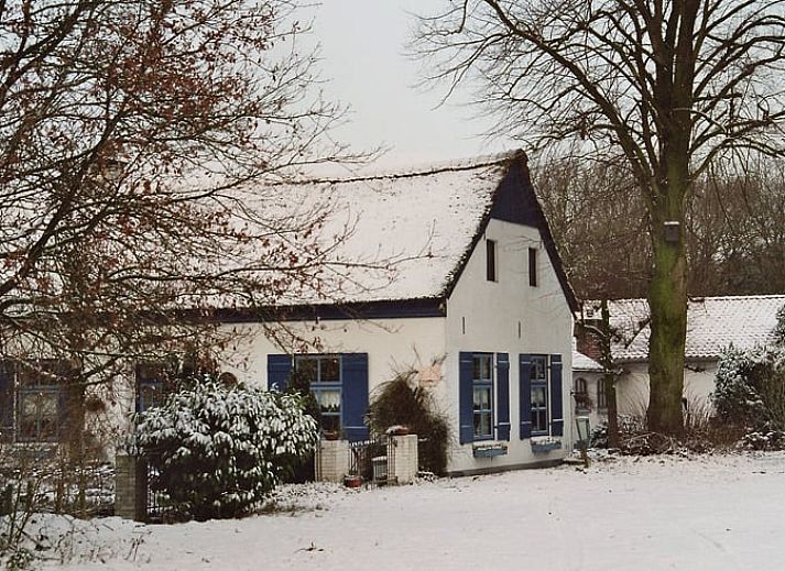 Verblijf 384806 - Vakantiewoning Noord Limburg - Huisje in Merselo