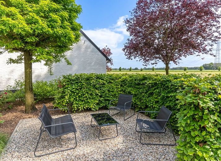 Verblijf 384810 - Vakantiewoning Noord Limburg - Huisje in Merselo