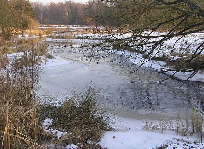 Verblijf 385106 - Vakantiewoning Noord Limburg - Vakantiehuisje in Swalmen
