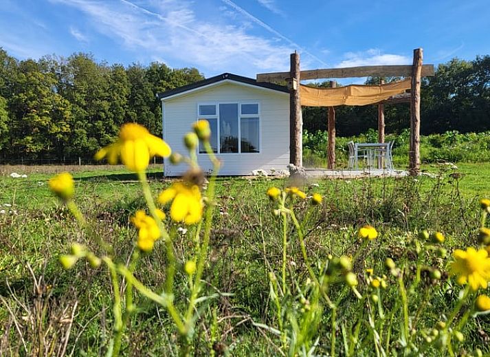 Verblijf 385807 - Chalet Noord Limburg - Huisje in Heythuysen
