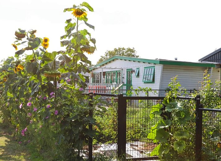 Verblijf 386801 - Vakantiewoning Noord Limburg - Vakantiehuisje in Hegelsom