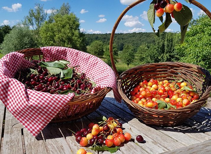 Guest house 390509 - Apartment Zuid Limburg - Buitenverblijf 't Herfse