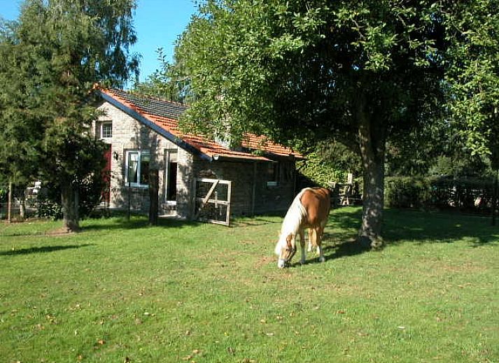 Unterkunft 394001 • Ferienhaus Midden Limburg • Vrijstaand Vakantiehuisje “in de Gaard”