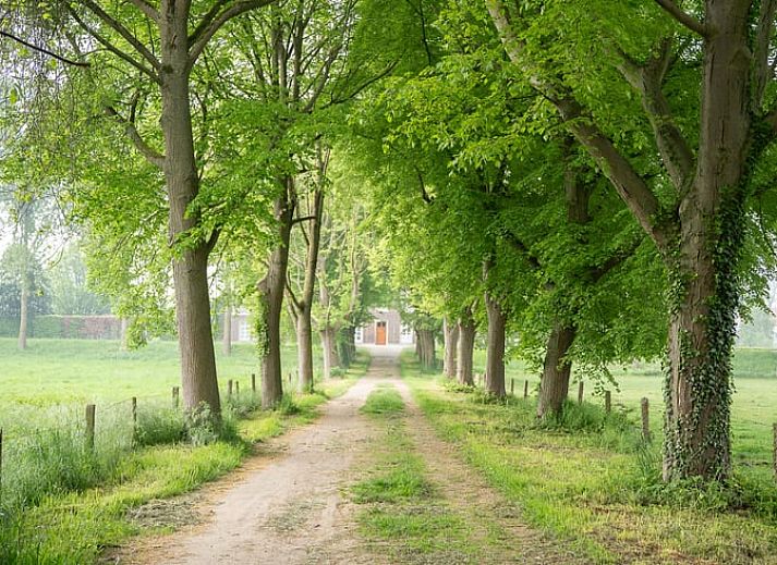 Verblijf 396001 - Vakantiewoning Zuid Limburg - Vakantiehuis in Wittem
