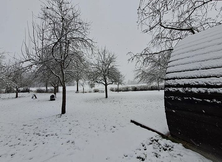 Verblijf 399701 - Vakantiewoning Zuid Limburg - Vakantiehuis in Bingelrade