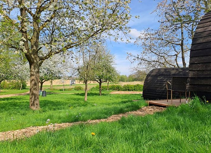 Verblijf 399701 - Vakantiewoning Zuid Limburg - Vakantiehuis in Bingelrade