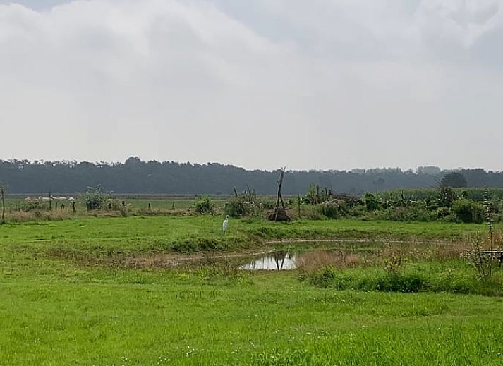 Unterkunft 426904 - Ferienhaus Hart van Brabant - Vakantiehuisje in Boxtel