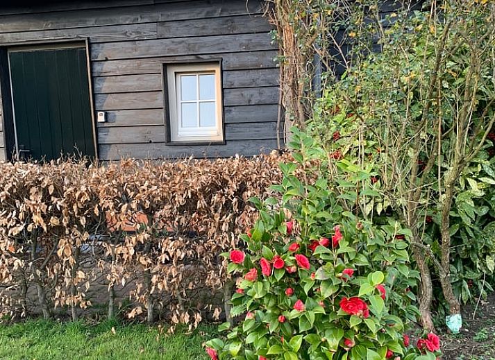 Unterkunft 426904 - Ferienhaus Hart van Brabant - Vakantiehuisje in Boxtel