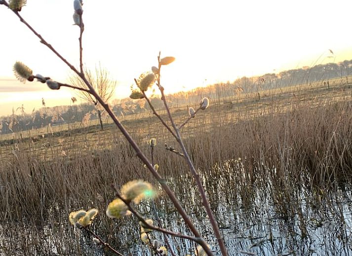 Unterkunft 426904 - Ferienhaus Hart van Brabant - Vakantiehuisje in Boxtel