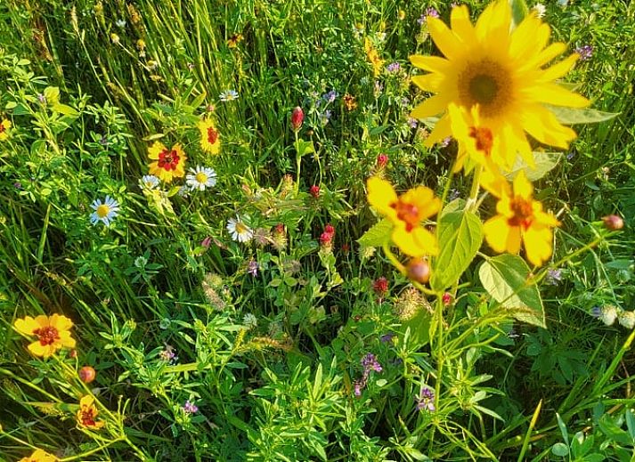 Stijlvolle slaapkamer met twee bedden in Huisje in Beers, vakantiehuis in Beers NB, voor ultiem comfort.