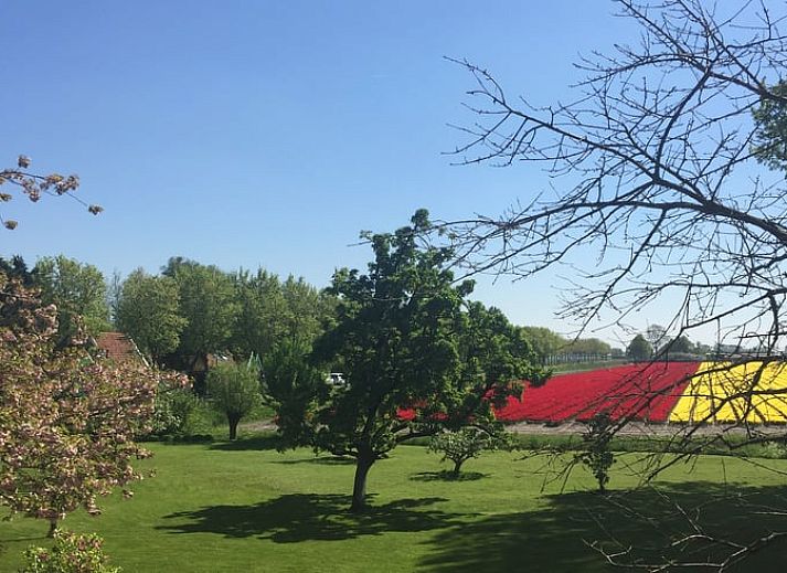 Unterkunft 461810 - Ferienhaus IJsselmeerkust - Vakantiehuis in Twisk