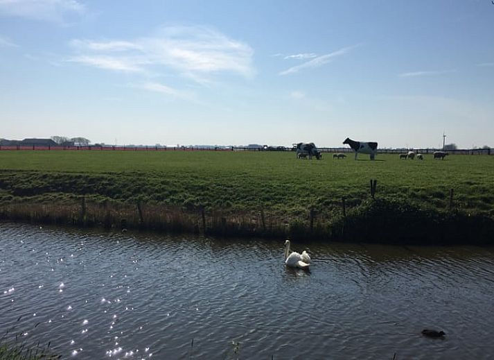 Unterkunft 461810 - Ferienhaus IJsselmeerkust - Vakantiehuis in Twisk