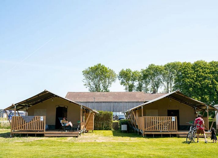Guest house 552324 • Tent house Noordwest Overijssel • Safaritent + sanitair