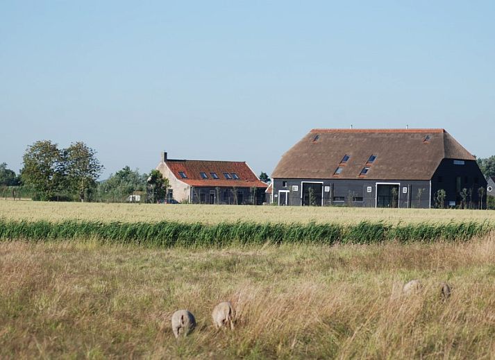 Verblijf 620278 • Vakantiewoning Walcheren • Hoeve Plantlust : Barn left 